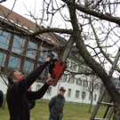 DSCN5146_JPG-1365543978