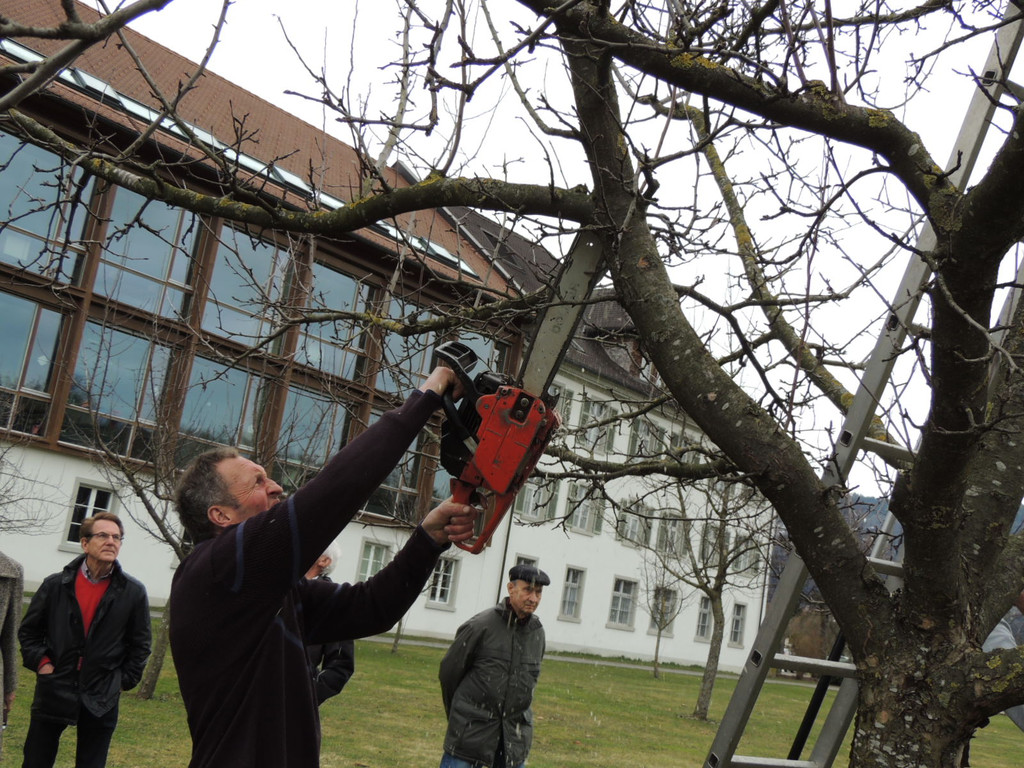 DSCN5146_JPG-1365543978