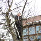 DSCN5164_JPG-1365543982