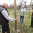 DSCN5179_JPG-1365543985