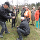 DSCN5128_JPG-1365543966