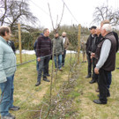 DSCN5181_JPG-1365543989