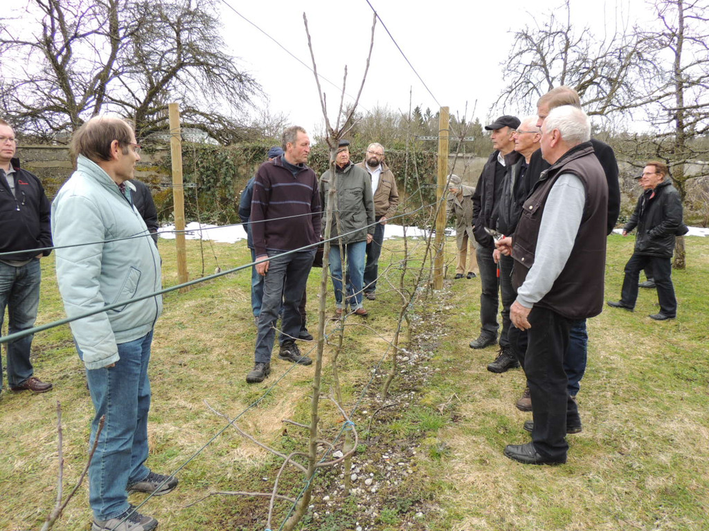 DSCN5181_JPG-1365543989