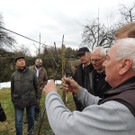 DSCN5182_JPG-1365543993