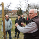 DSCN5184_JPG-1365543996