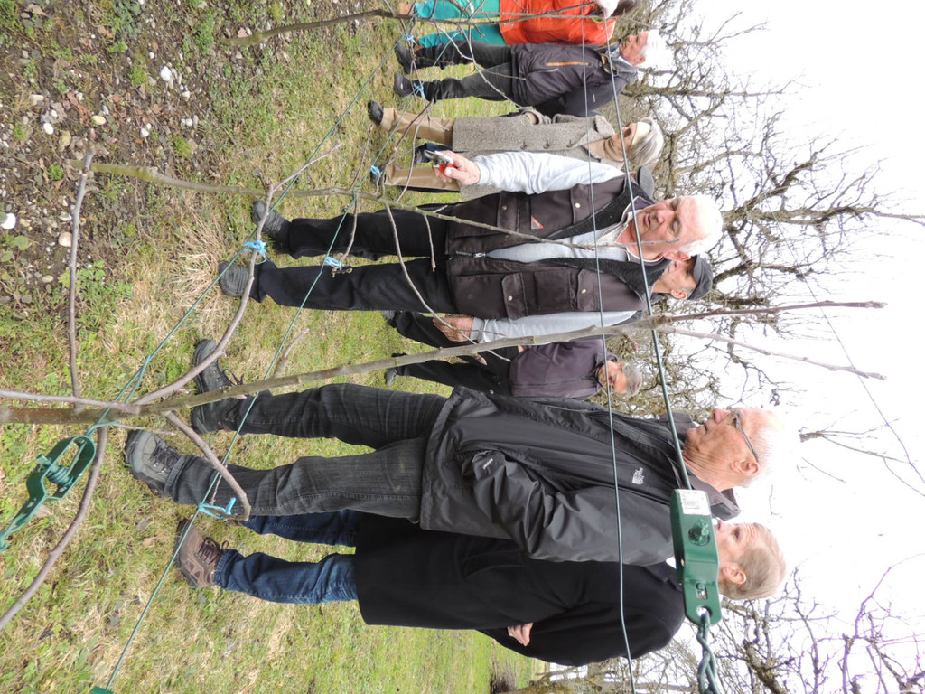 DSCN5193_JPG-1365544000