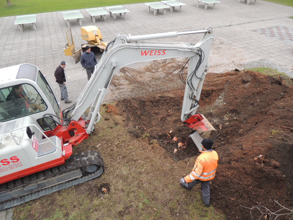 DSCN9883_JPG-1365546014