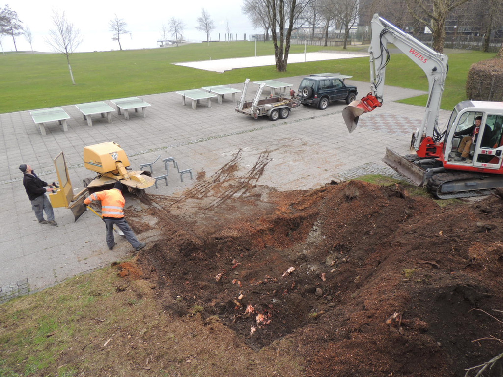 DSCN9877_JPG-1365546005