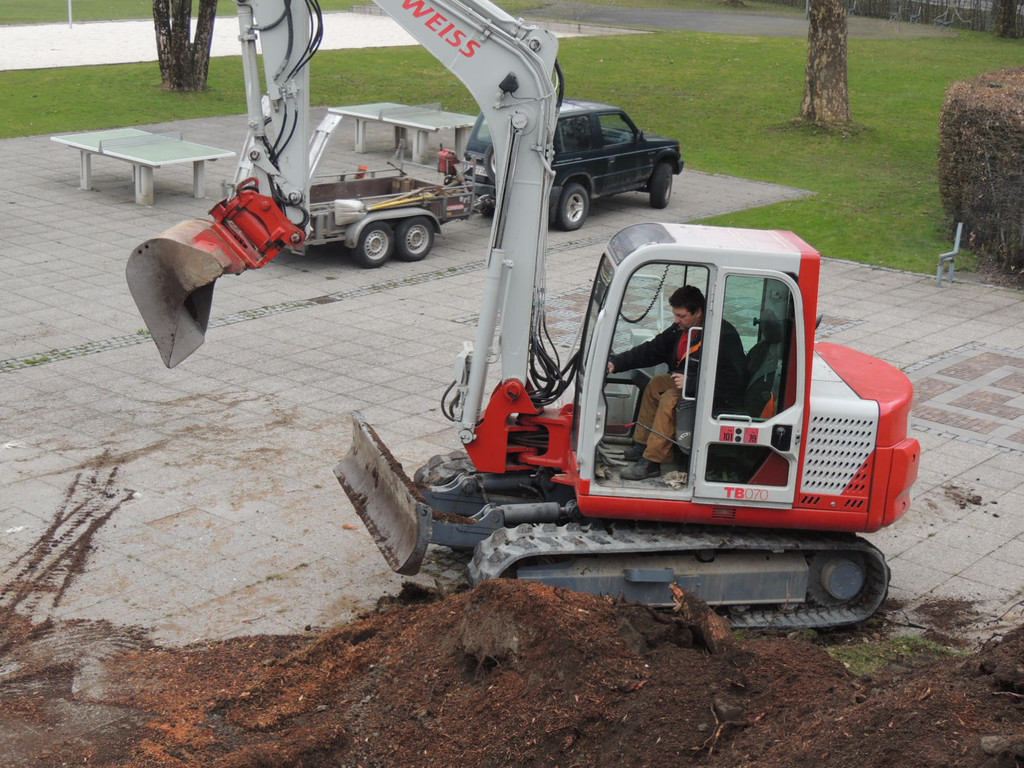 DSCN9879_JPG-1365546010