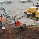 DSCN9891_JPG-1365546029