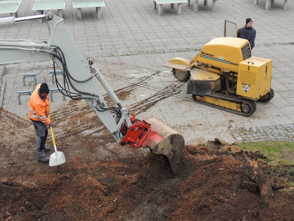 DSCN9891_JPG-1365546029