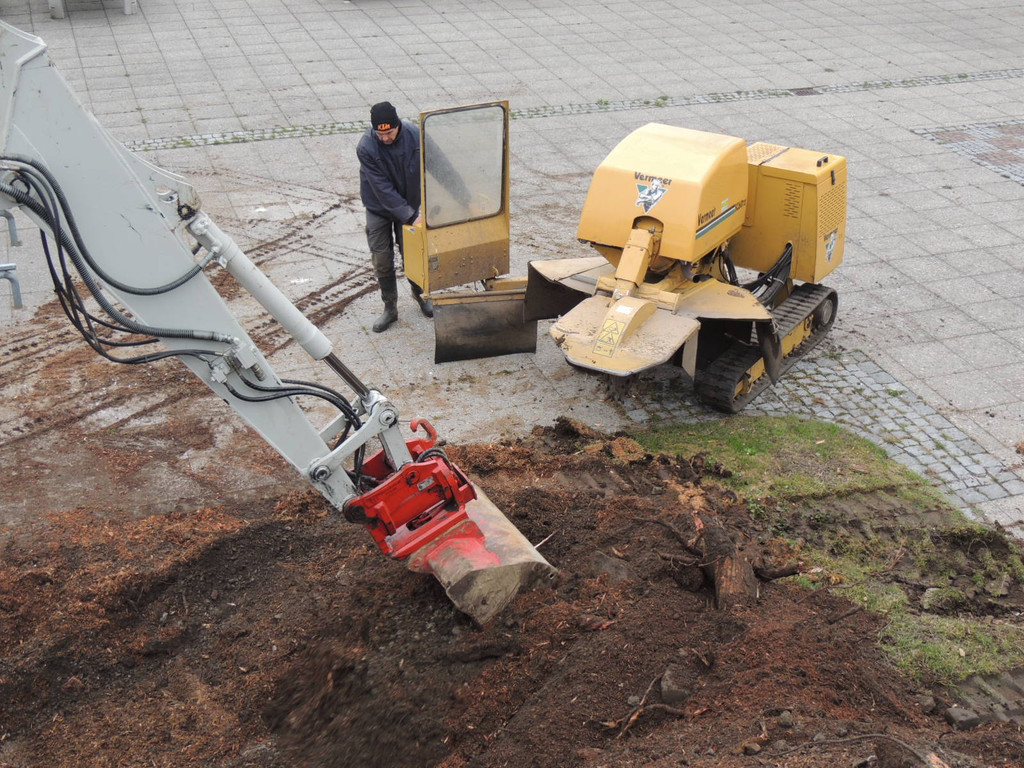 DSCN9893_JPG-1365546033