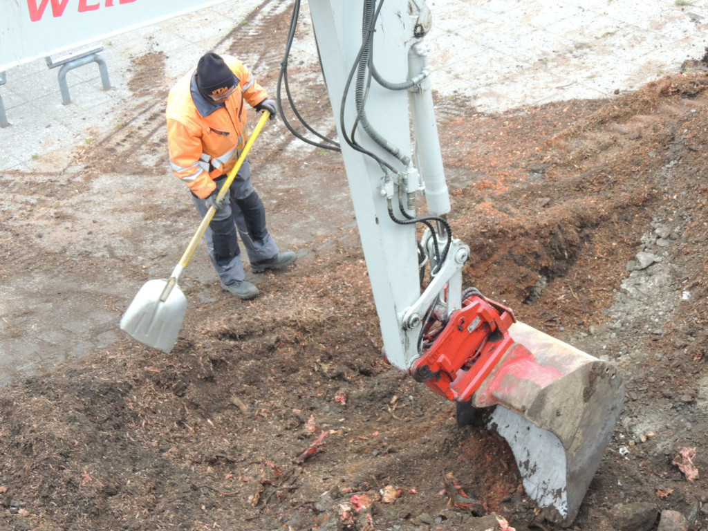 DSCN9886_JPG-1365546018