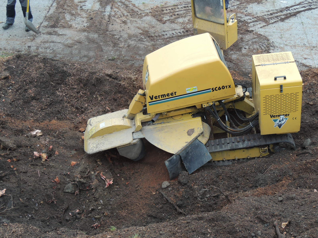 DSCN9897_JPG-1365546036