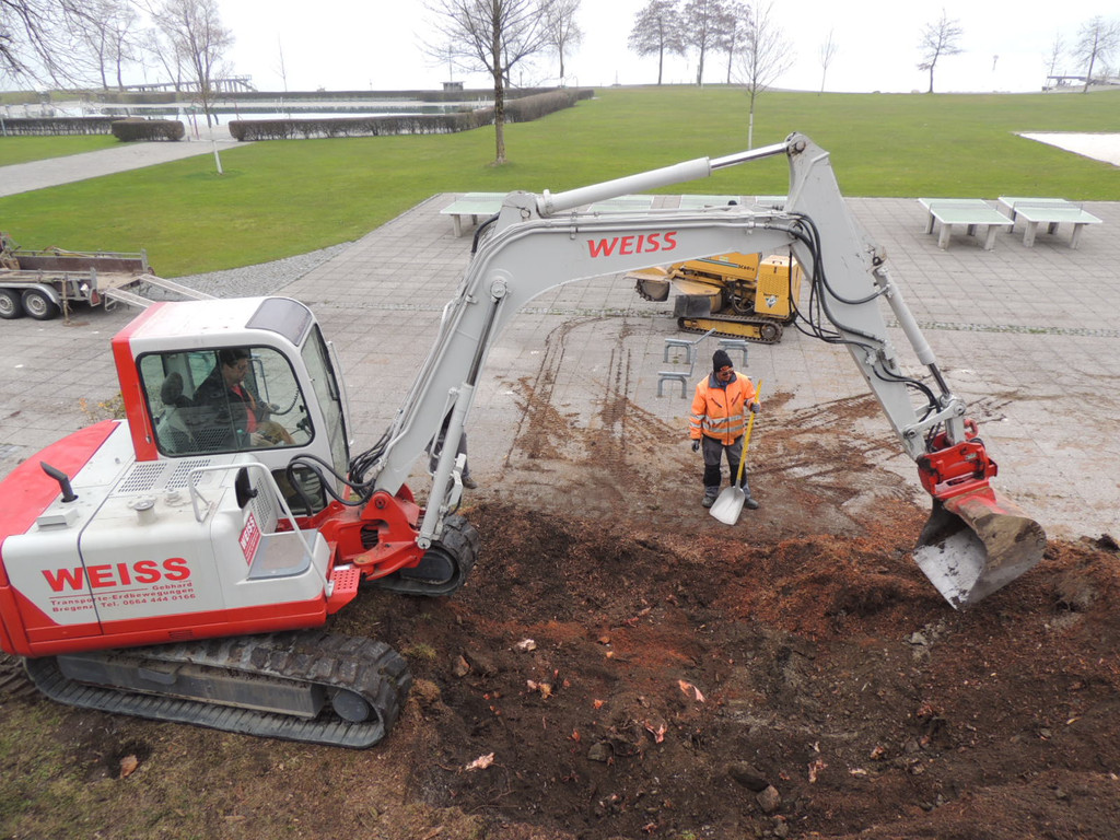 DSCN9889_JPG-1365546025