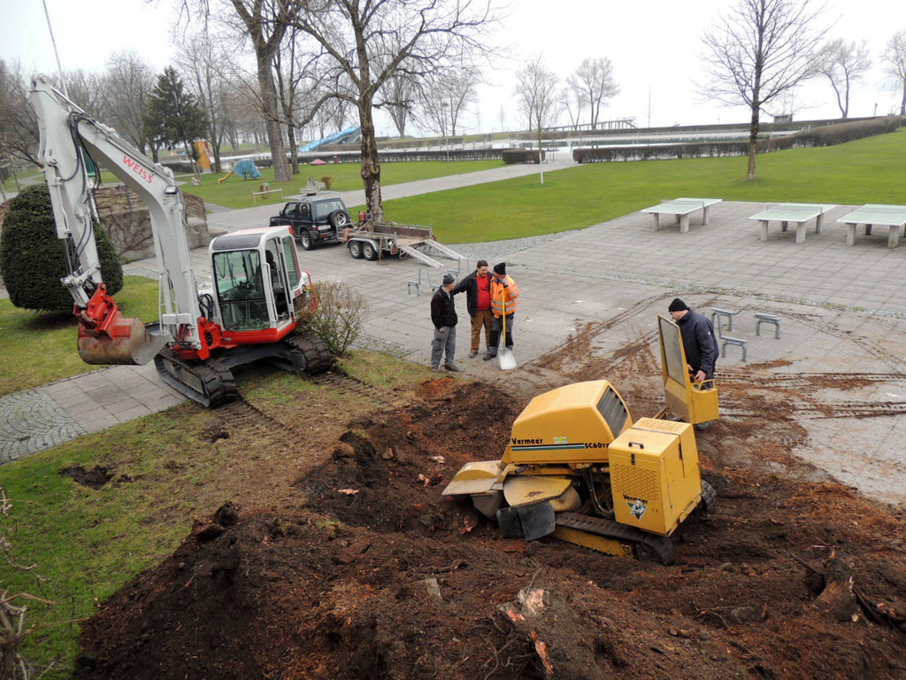 DSCN9900_JPG-1365546040