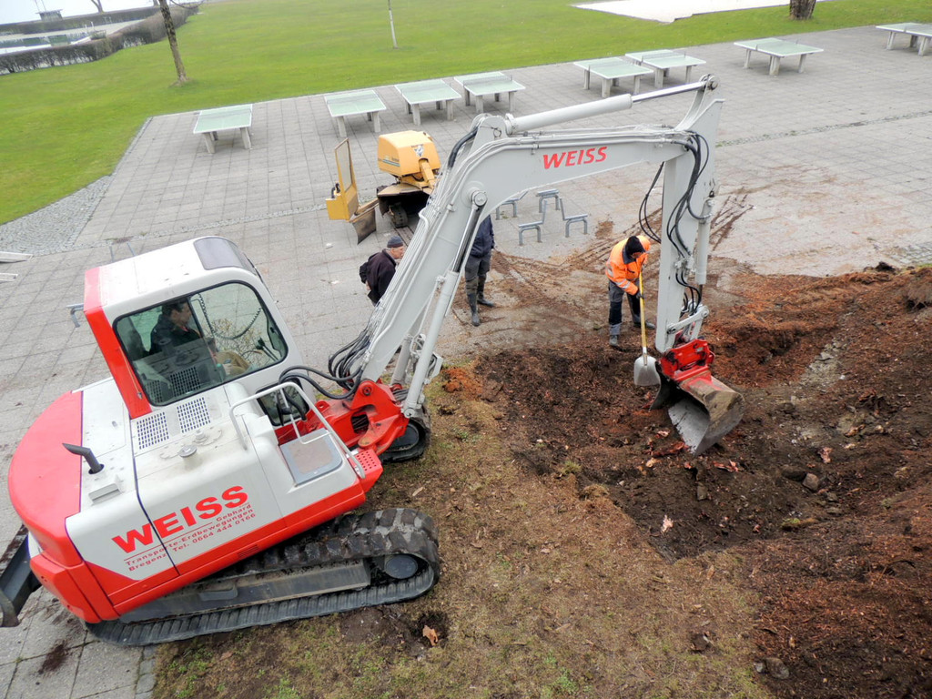 DSCN9887_JPG-1365546021