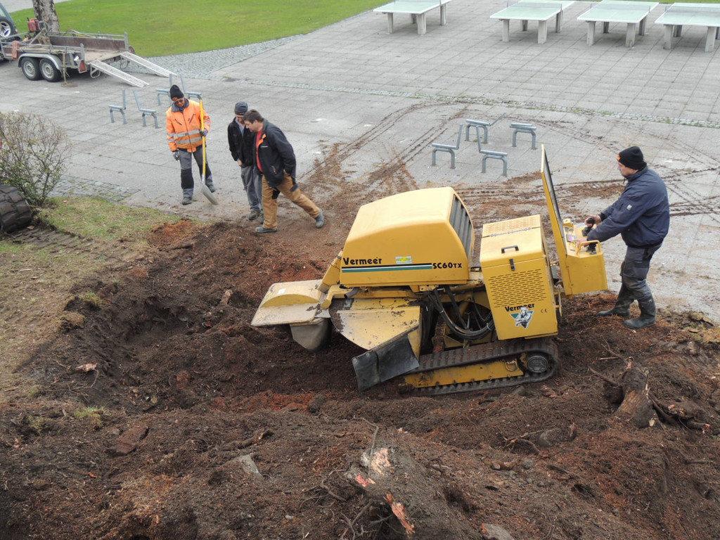 DSCN9905_JPG-1365546043