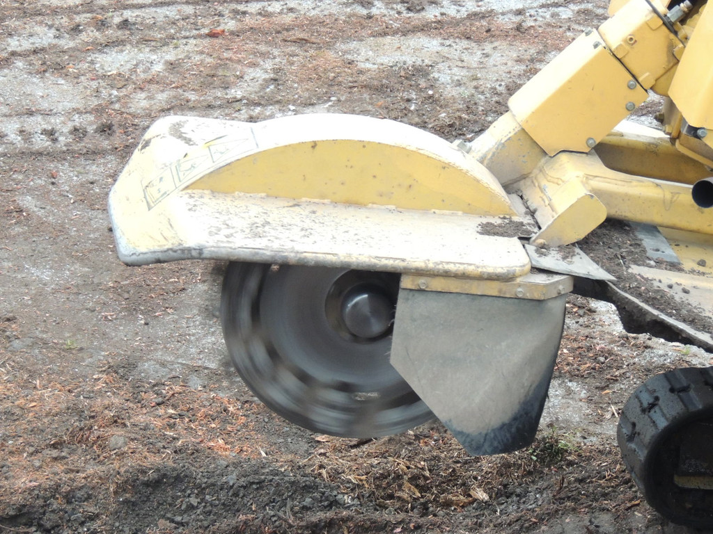 DSCN9907_JPG-1365546047