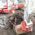 DSCN9910_JPG-1365546052