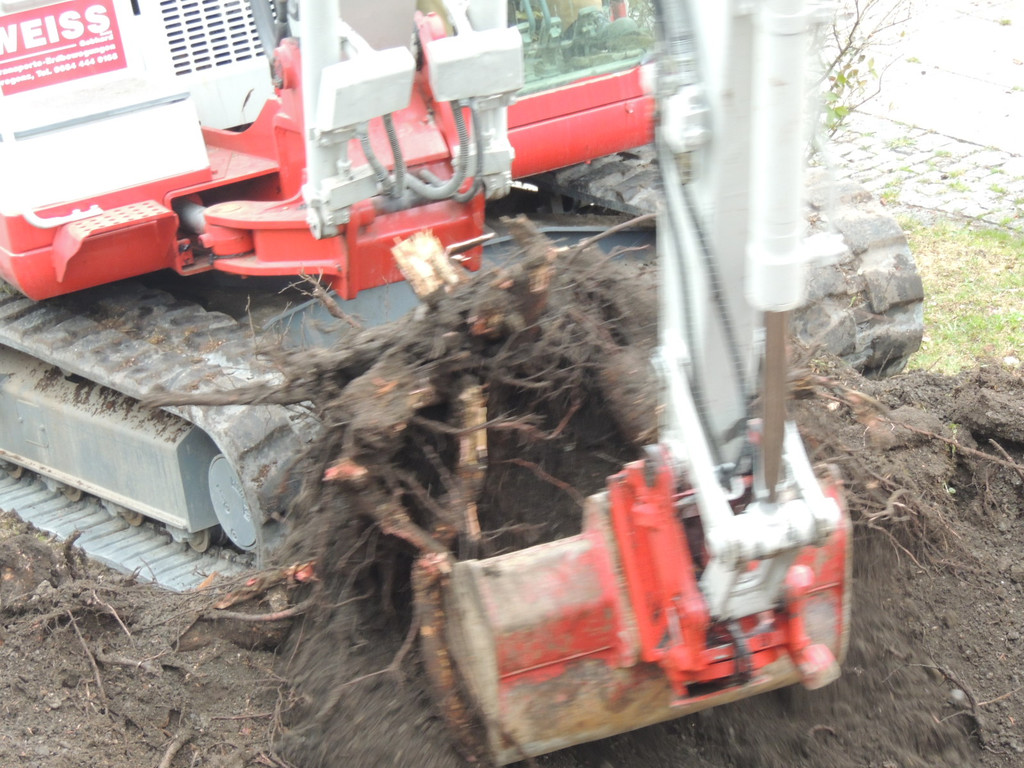 DSCN9910_JPG-1365546052