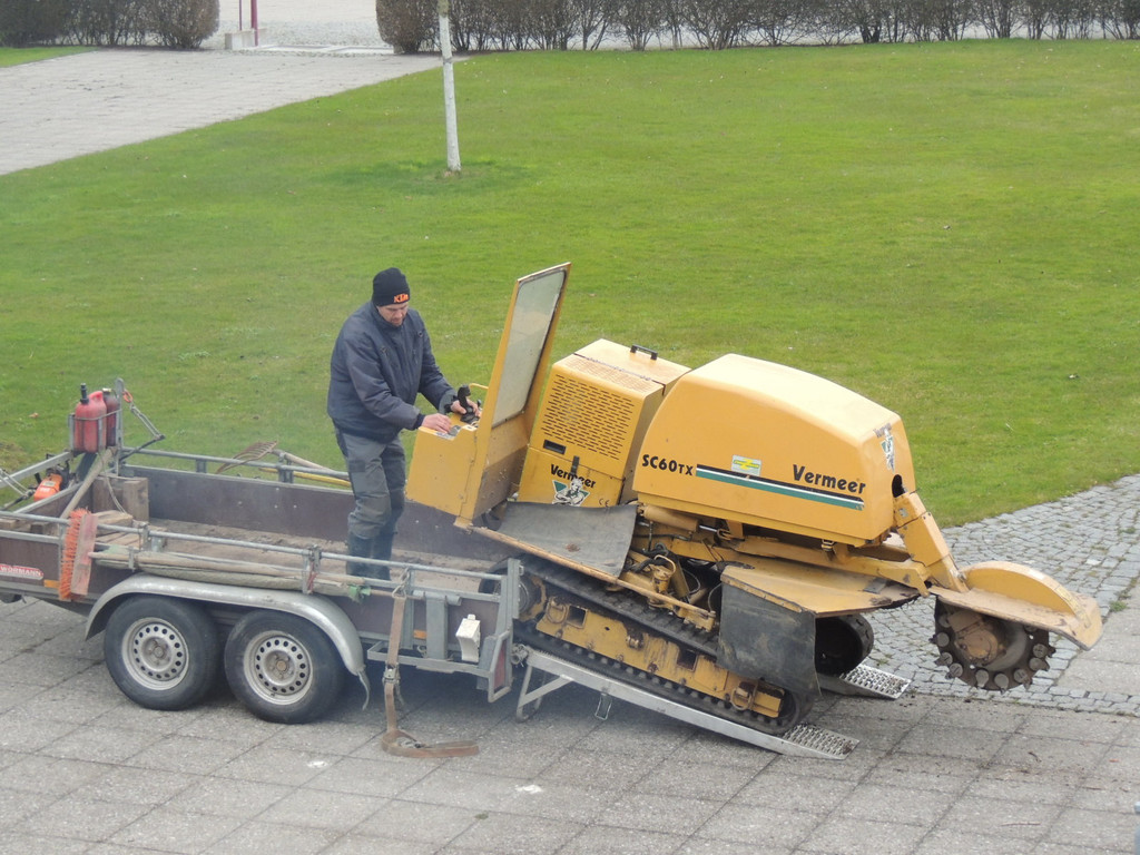 DSCN9912_JPG-1365546056