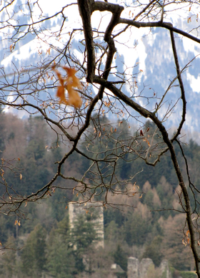 KOE-Fr__hlingsbeginnFeldkirch 15_jpg-1267167700