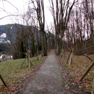 KOE-Fr__hlingsbeginnFeldkirch 16_jpg-1267167712