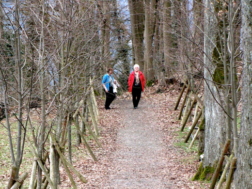 KOE-Fr__hlingsbeginnFeldkirch 17_jpg-1267167727