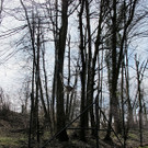 08042013katade01007aktivnews_01.JPG