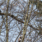 08042013katade01007aktivnews_09.JPG