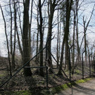 08042013katade01007aktivnews_03.JPG