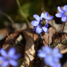 ABD0084-20130410.jpg