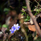 ABD0085-20130410.jpg