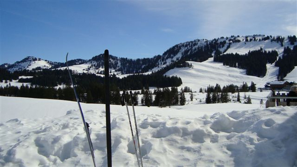 DSC02198_JPG-1267170402