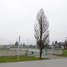 Beachvolleyball05.JPG