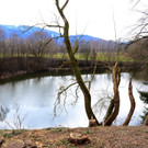 Sauwinkel34.JPG