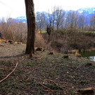 Sauwinkel36.JPG