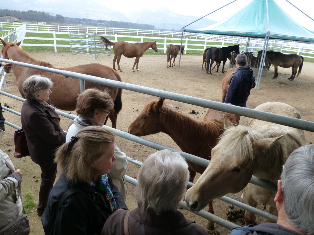 Western Reithalle am 9_ April 2013  _3_.JPG