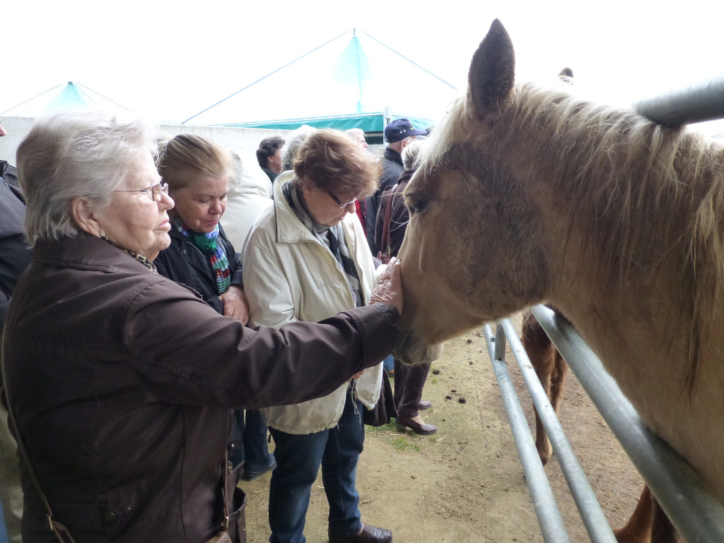 Western Reithalle am 9_ April 2013  _4_.JPG