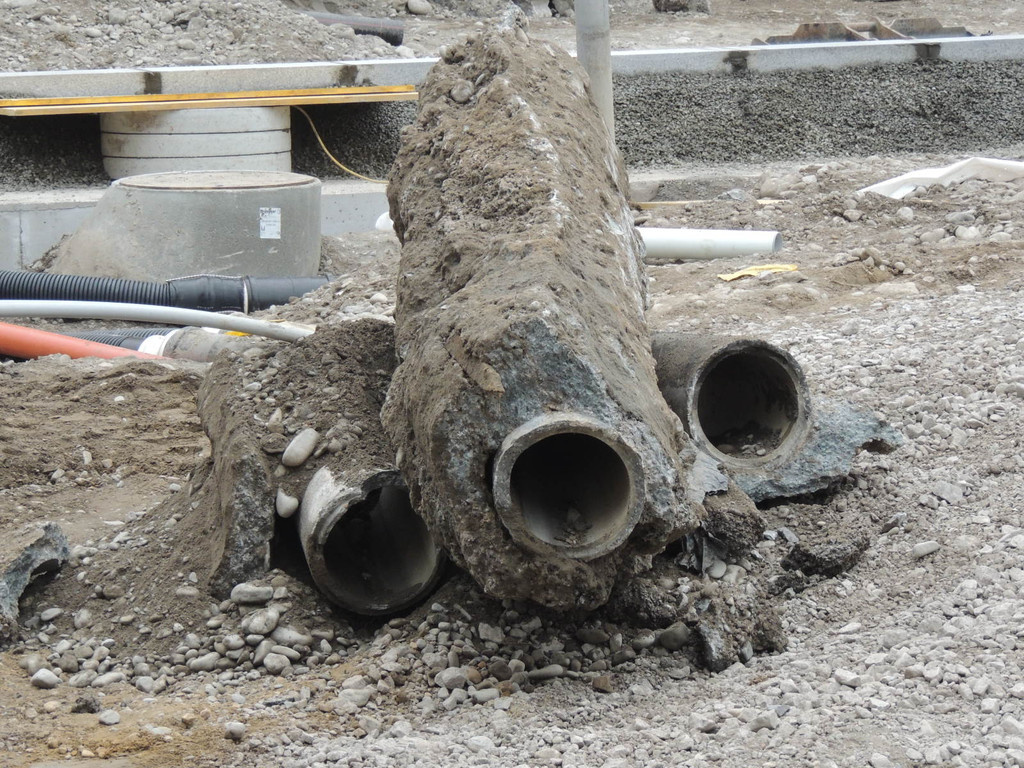 DSCN9963_JPG-1365634980