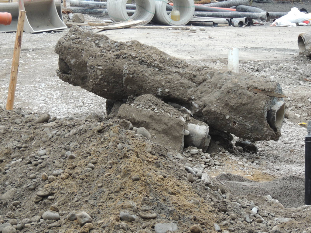 DSCN9955_JPG-1365634953