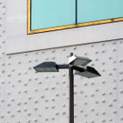 DSCN9757_JPG-1365635826