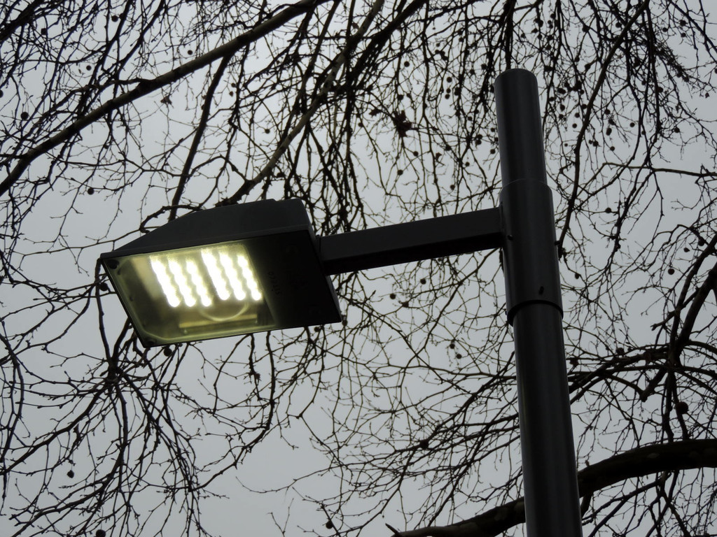 DSCN0033_JPG-1365635795