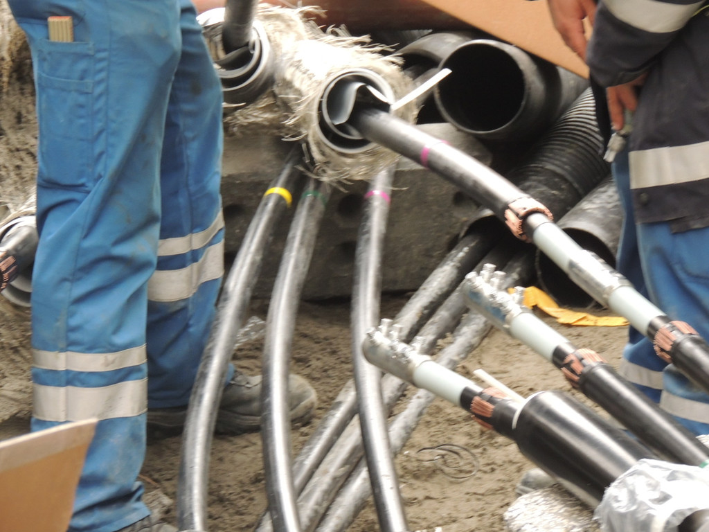 DSCN9939_JPG-1365636571