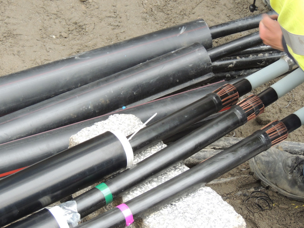 DSCN9945_JPG-1365636588