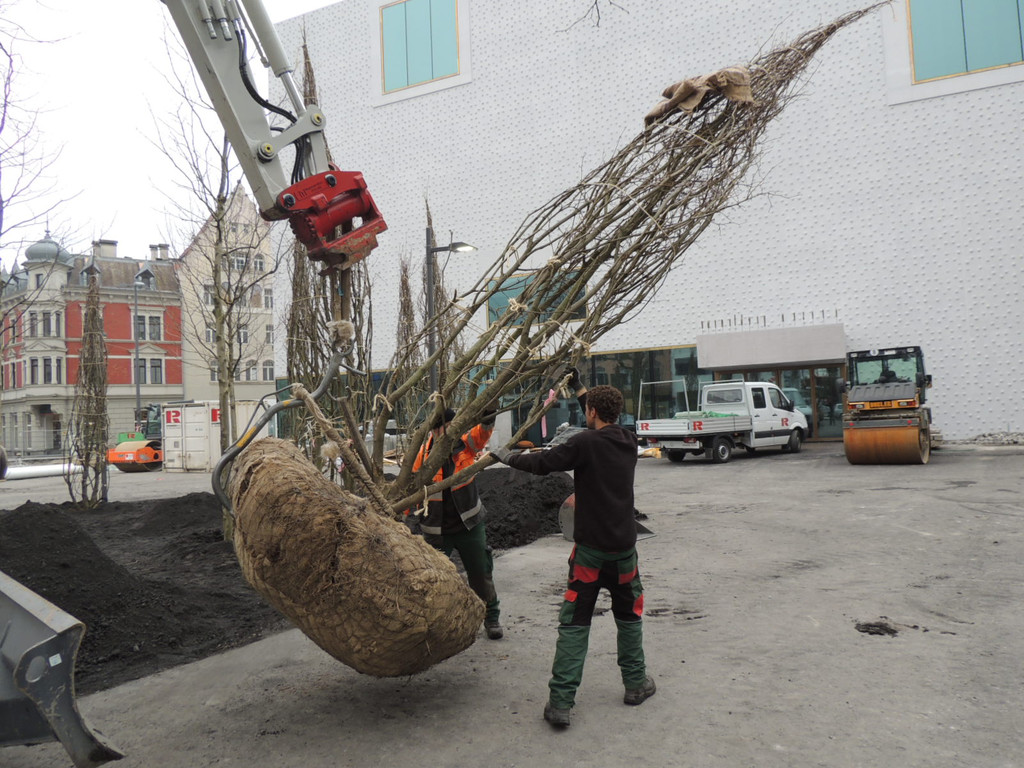 DSCN0013_JPG-1365636775