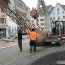 DSCN0007_JPG-1365636772