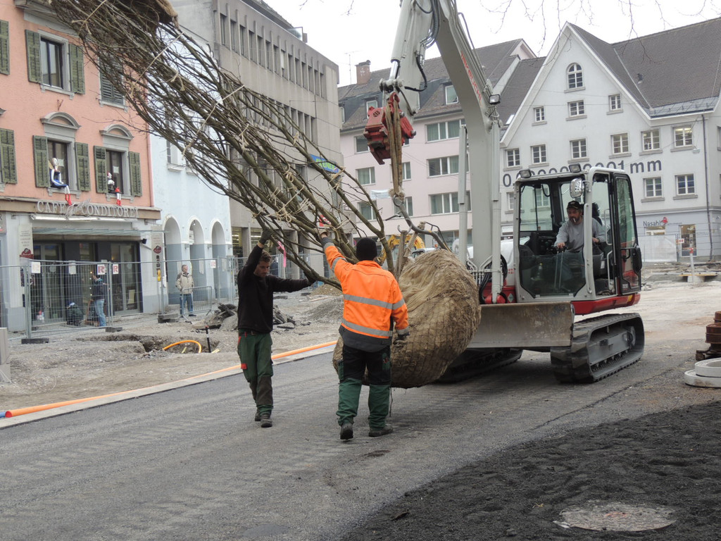 DSCN0007_JPG-1365636772