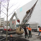 DSCN0016_JPG-1365636779